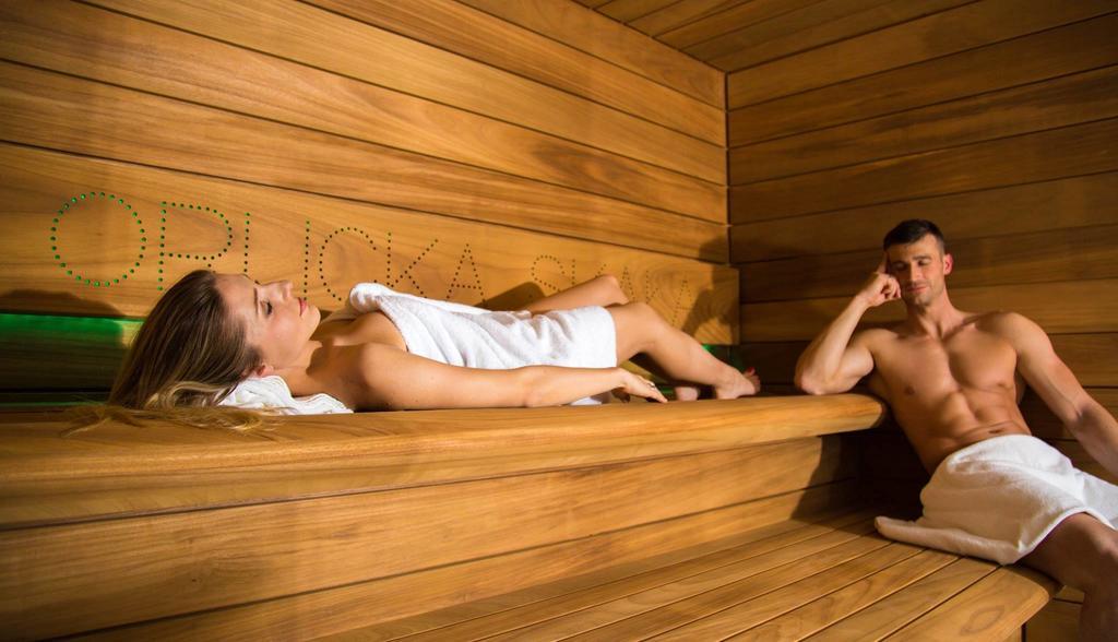 Bed and Breakfast Orlicka Skala Zieleniec  Esterno foto