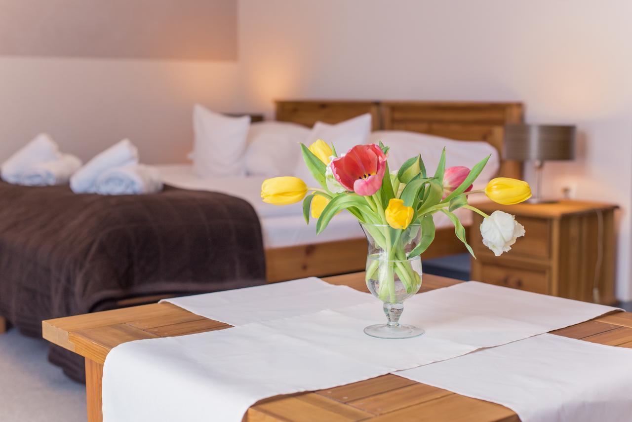 Bed and Breakfast Orlicka Skala Zieleniec  Esterno foto
