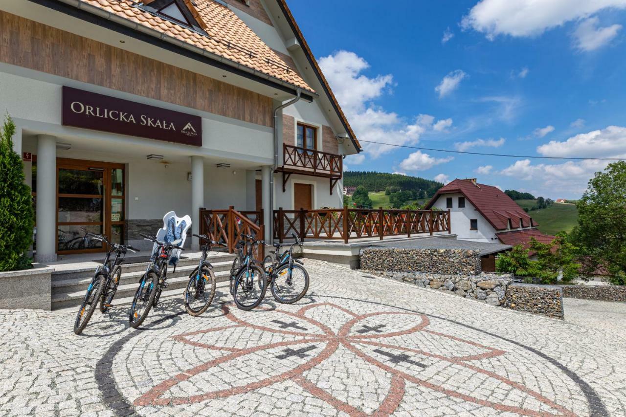 Bed and Breakfast Orlicka Skala Zieleniec  Esterno foto
