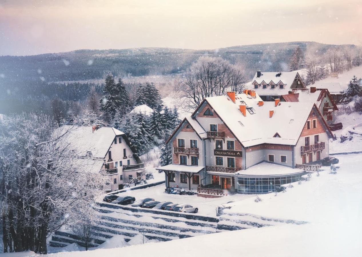 Bed and Breakfast Orlicka Skala Zieleniec  Esterno foto