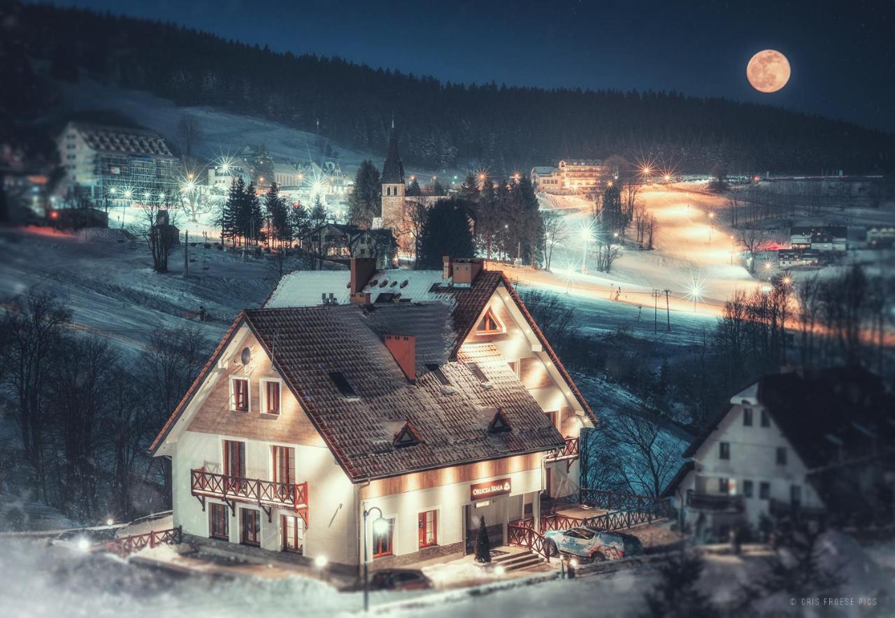 Bed and Breakfast Orlicka Skala Zieleniec  Esterno foto